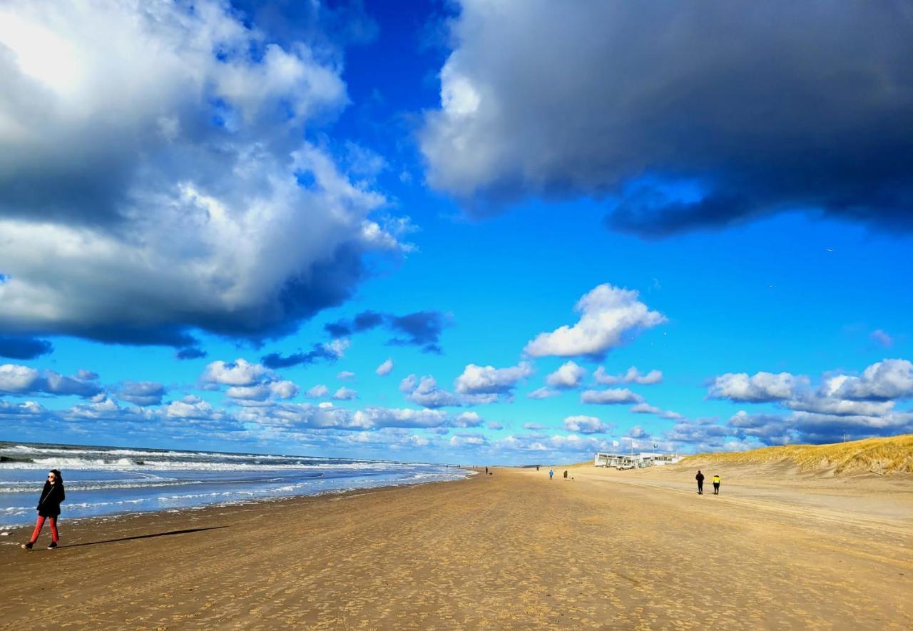 Zilvermeeuw Bergen aan Zee Exterior photo